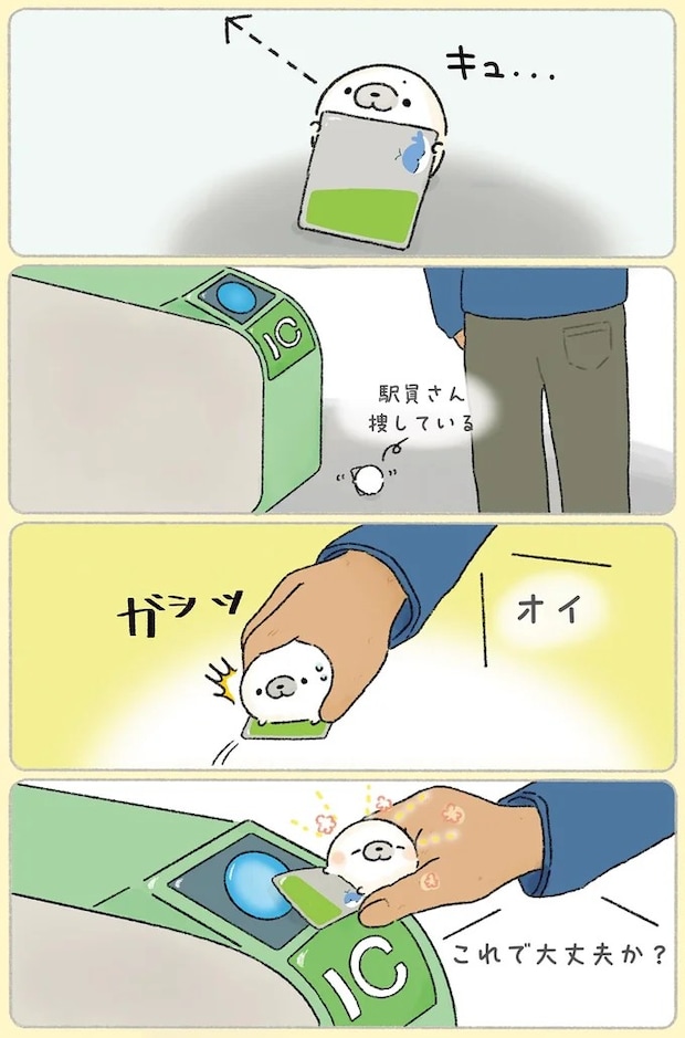 91.webp