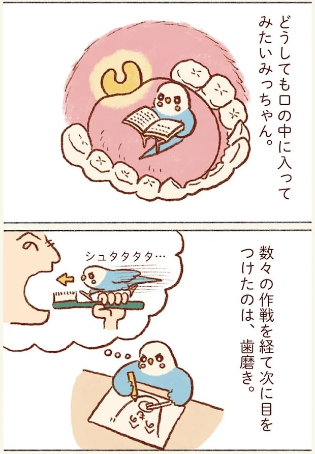 81.webp