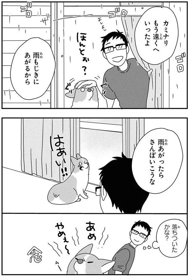 15932303.webp