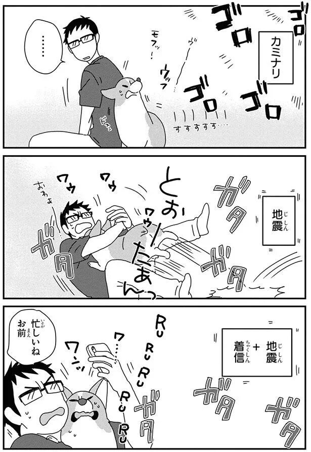 15932302.webp