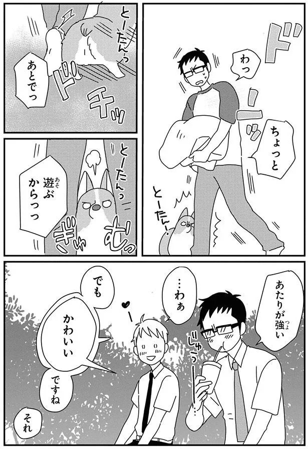 15932300.webp