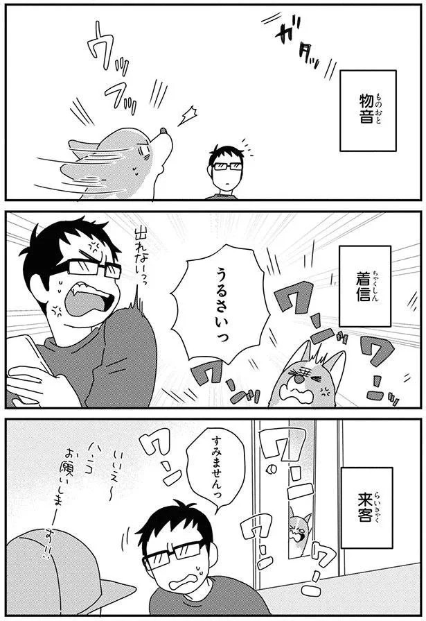 15932301.webp