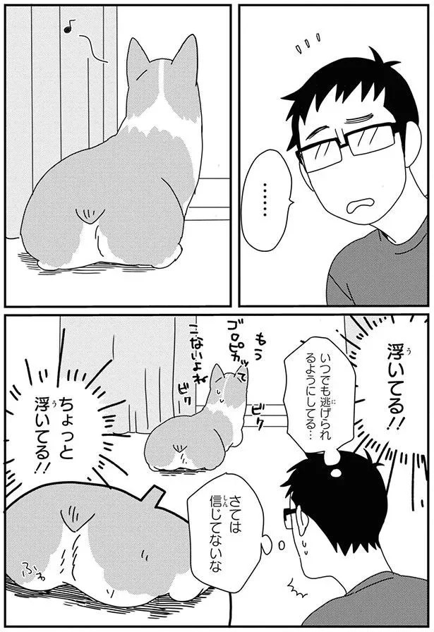 15932304.webp