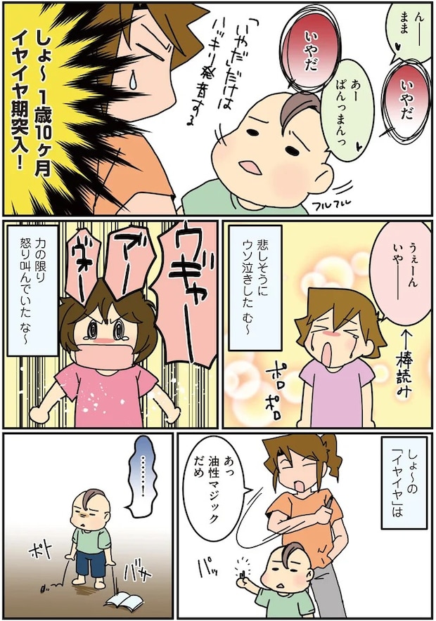 15853467.webp