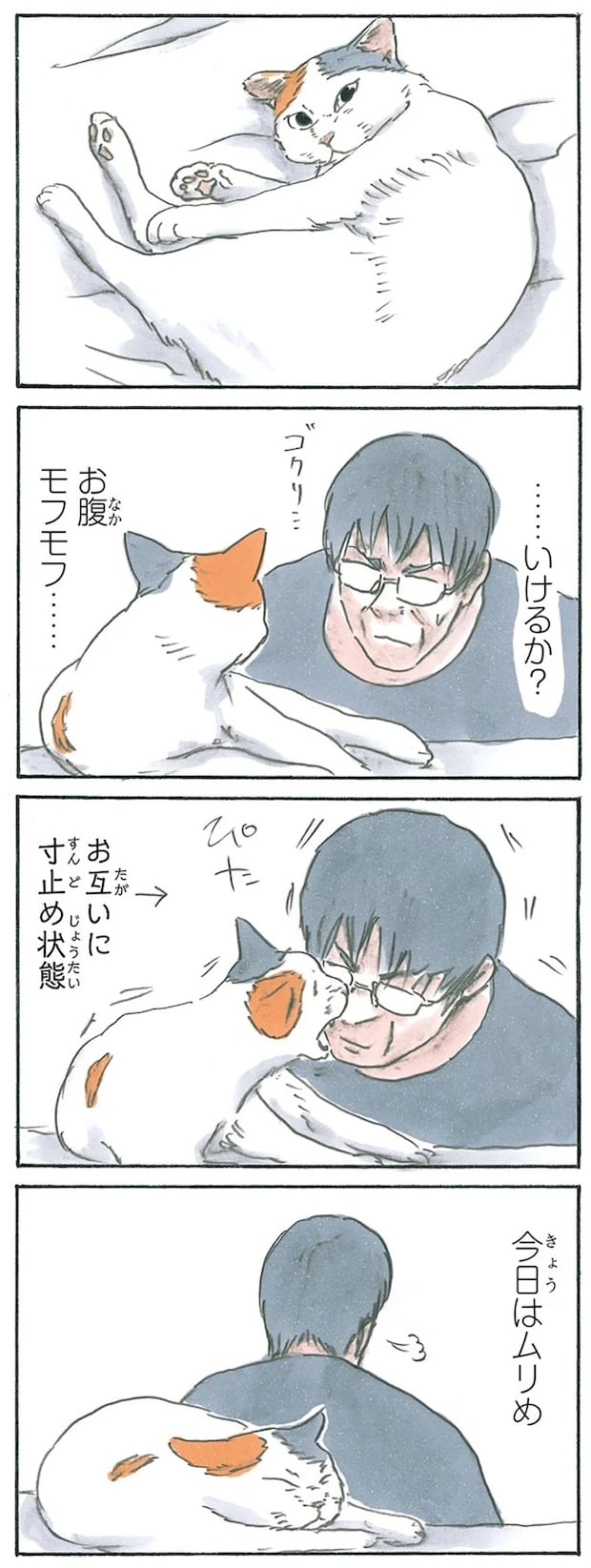 13275019.webp
