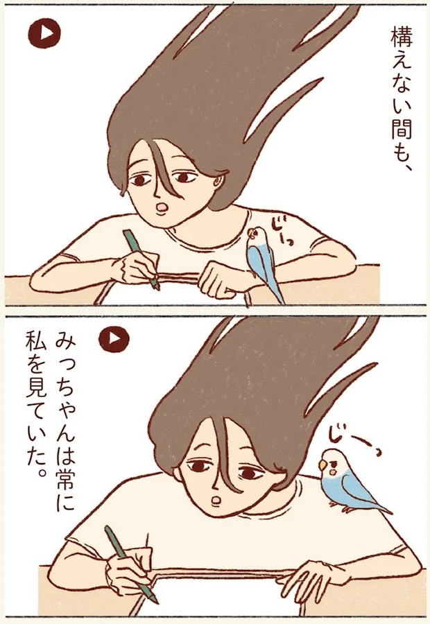 92.webp