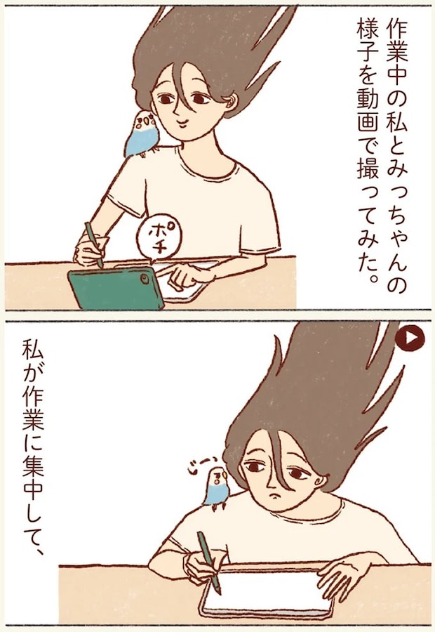 91.webp
