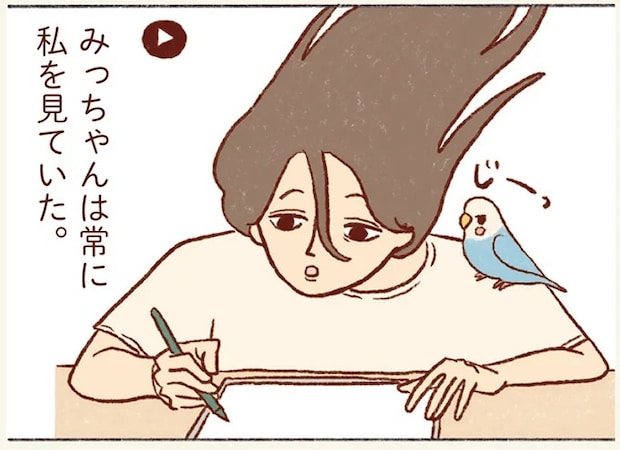 こんなに見てたの～？ 仕事中の私とセキセイインコを撮影した結果／プジェ日記！
