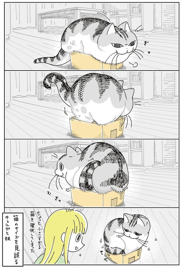 16061354.webp