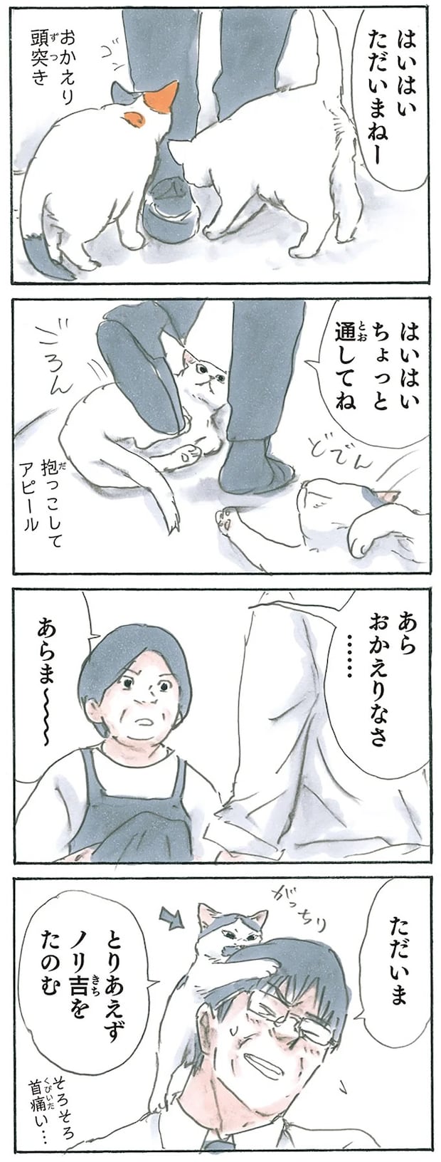 13275055.webp