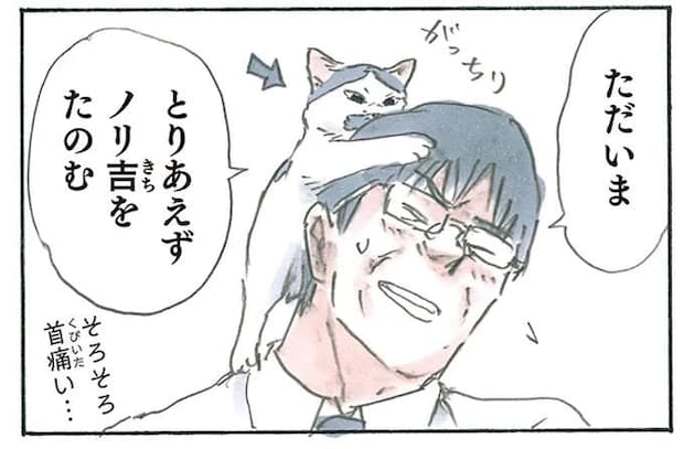 猫の頭突き！ 抱っこ！ そして...我が家の猫たちのお迎えは幸せすぎて／拾い猫のモチャ6
