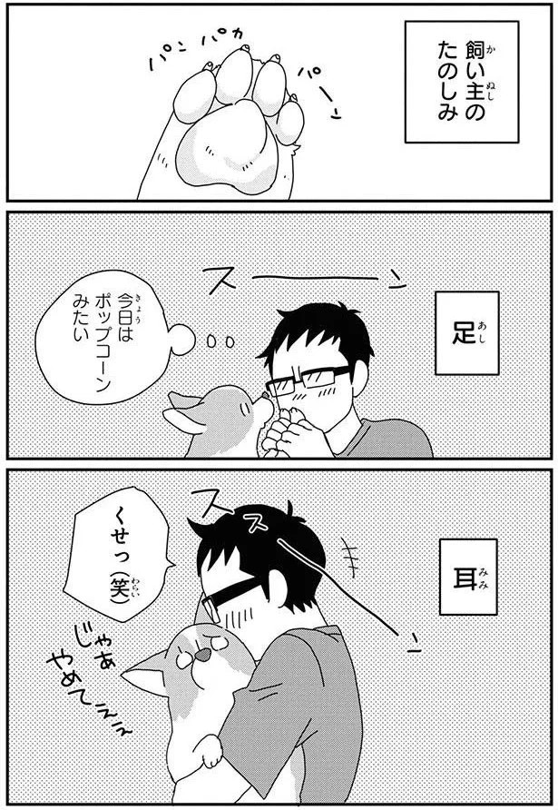 15932325.webp