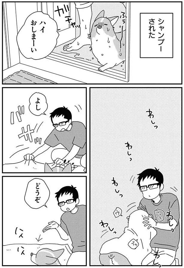 15932327.webp