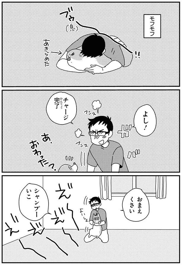 15932326.webp
