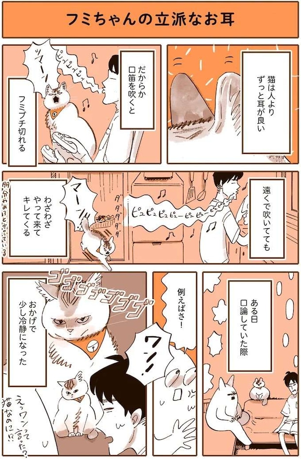 uchinoneko1_2.jpeg