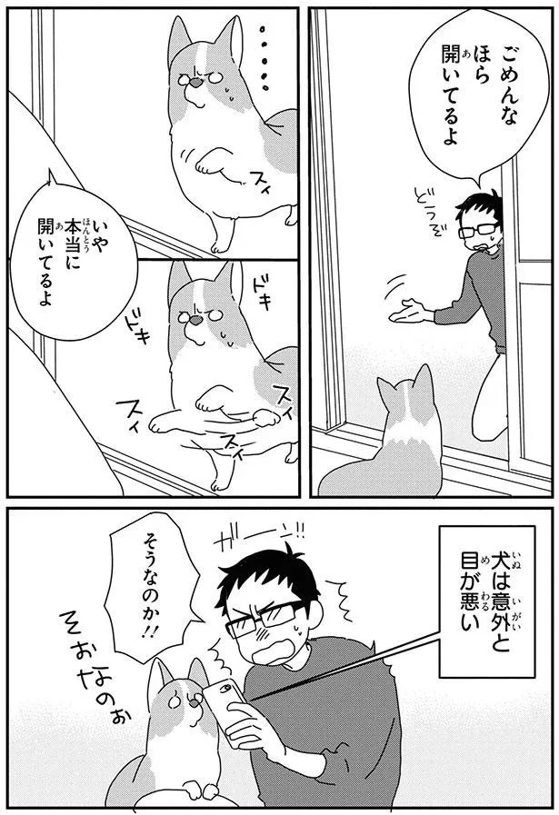 15932335.webp