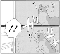 愛犬が網戸に気付かずドーン！ ドジだと思ったら新事実発覚!?／あしょんでよッ8