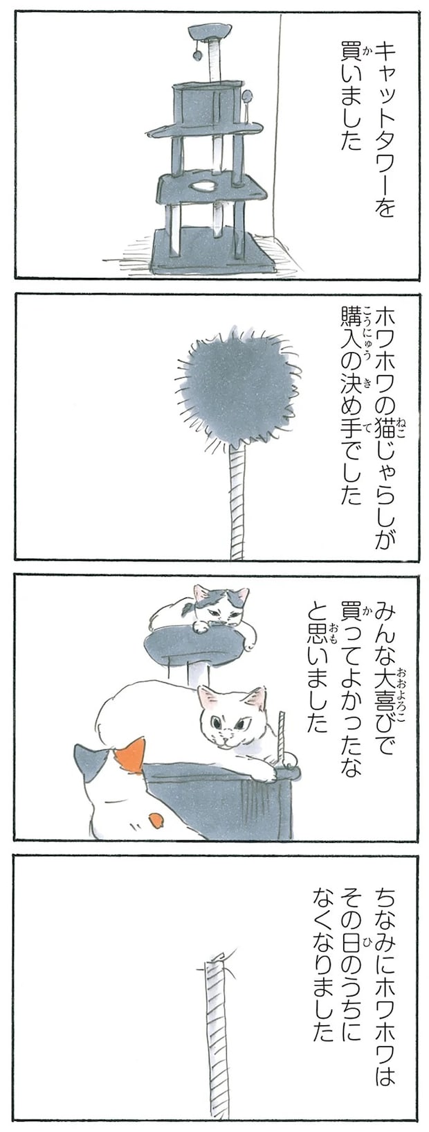 13275069.webp
