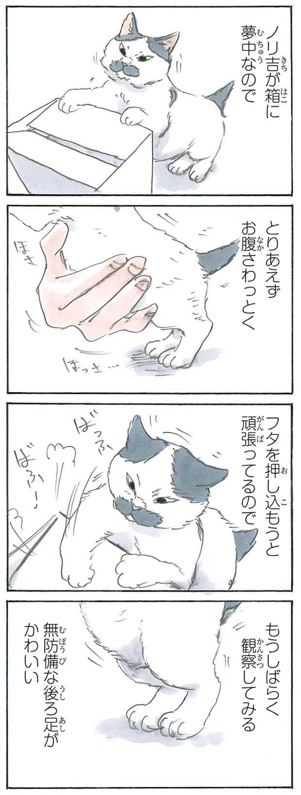13275070.webp