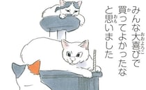 猫たちが歓喜した新キャットタワー。シンボルだったふわふわ猫じゃらしが...あれ？／拾い猫のモチャ6