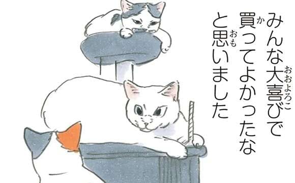 猫たちが歓喜した新キャットタワー。シンボルだったふわふわ猫じゃらしが...あれ？／拾い猫のモチャ6