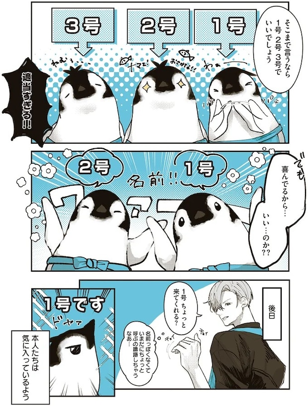 15862811.webp