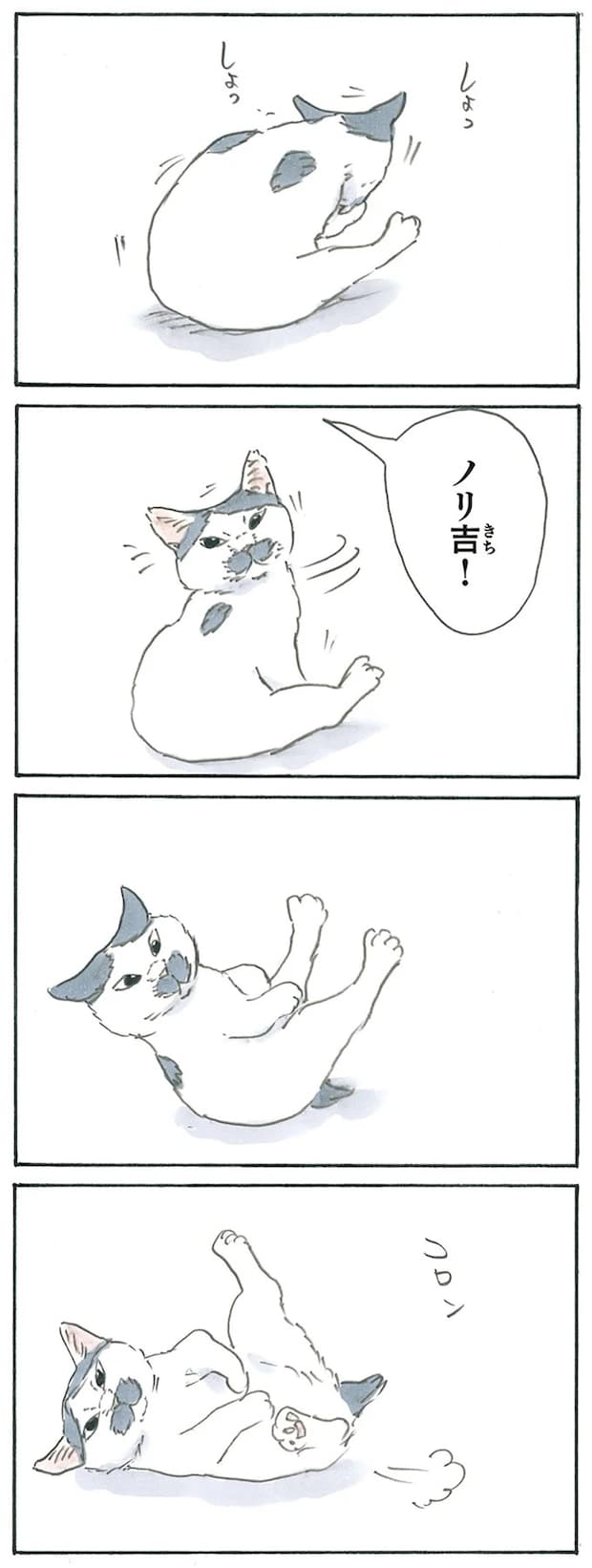 13275358.webp