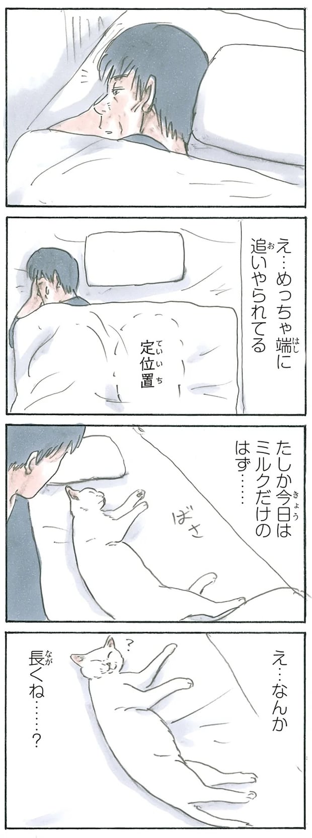 13275357.webp