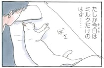 「一緒だったならいいか」寝過ごした休日を幸せにしてくれる猫／拾い猫のモチャ6