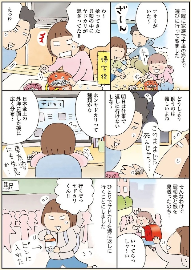 13.webp