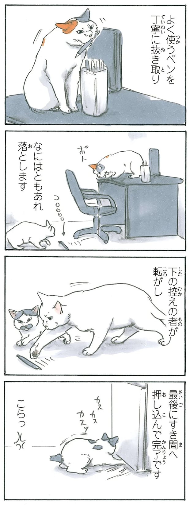 13275460.webp