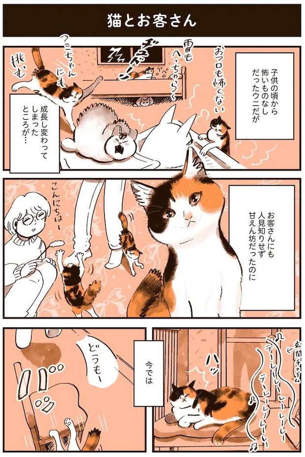 uchinoneko7_1.jpeg