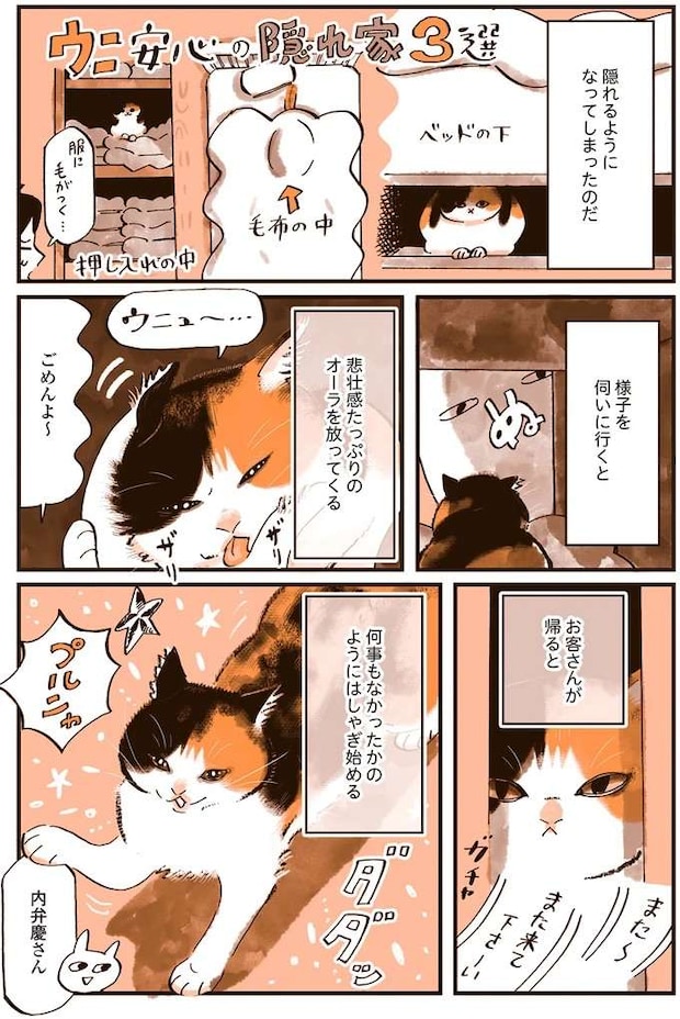 uchinoneko7_2.jpeg