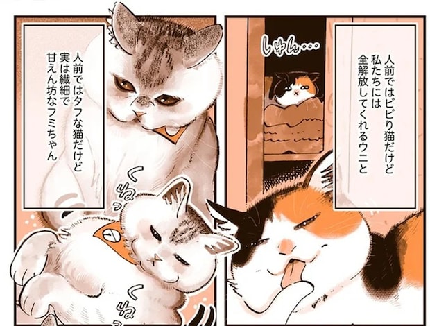 ギャップ萌え!? 猫たちがお客さんが帰った後に飼い主だけに見せる姿がかわいい／うちの猫は仲が悪い