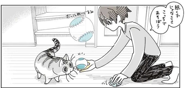 紙くずで大興奮の愛猫。オモチャを渡してみたら...／夜は猫といっしょ8