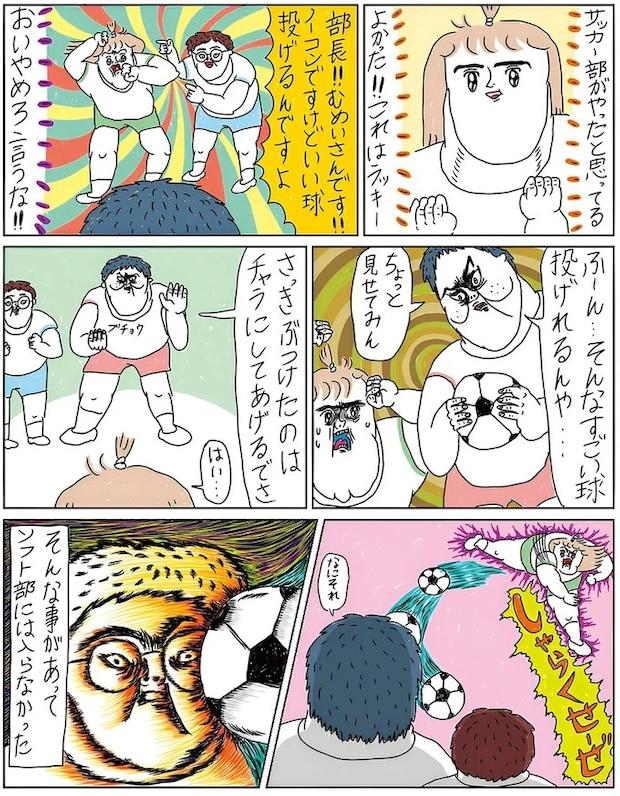 14144739.webp