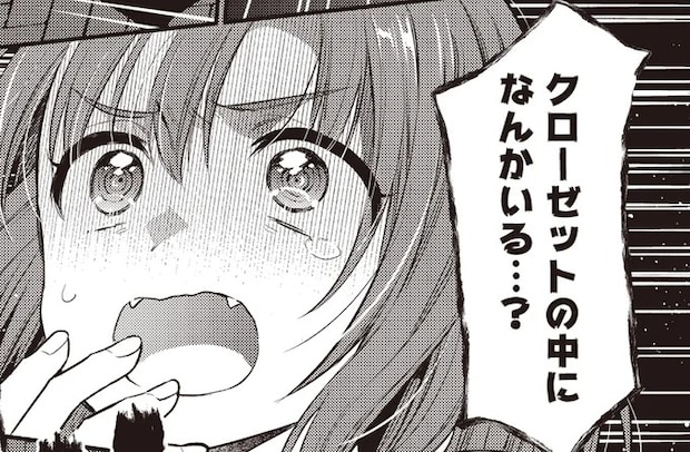 一人暮らしのクローゼットから「ドン！」この音、いったい何⁉／或いは、私の名探偵 1