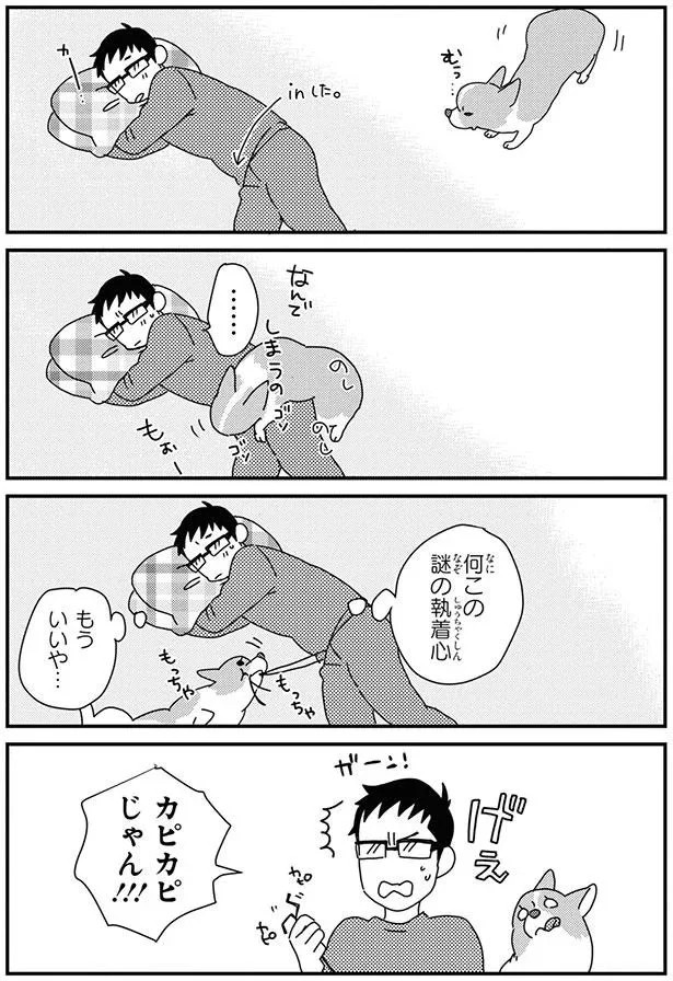 16052977.webp