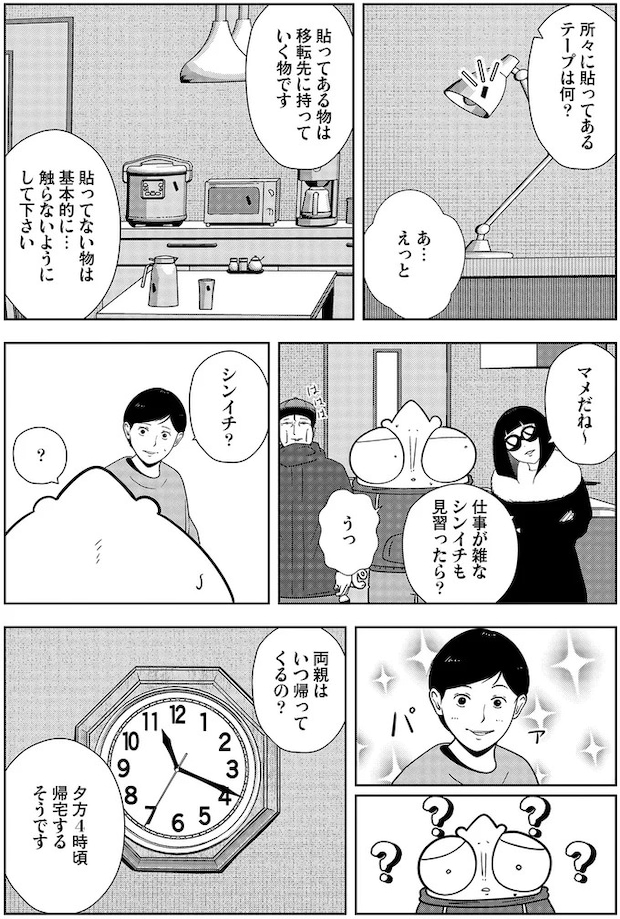 16229892.webp