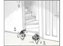 猫が飼い主の起床の気配を察知。なかなかやってこないと...かわいい！／夜は猫といっしょ8