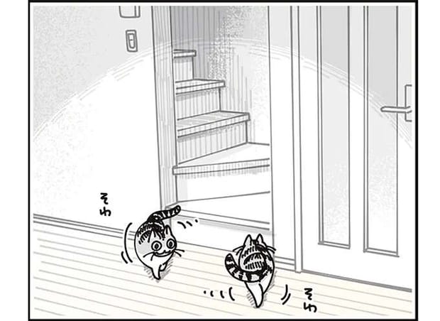 猫が飼い主の起床の気配を察知。なかなかやってこないと...かわいい！／夜は猫といっしょ8