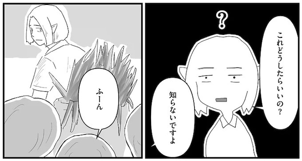 16163567.webp