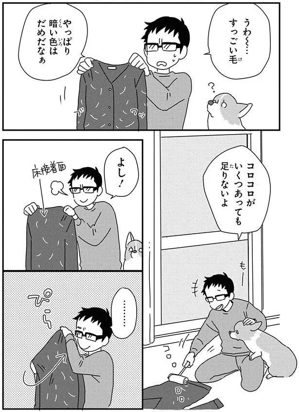 16053011.webp