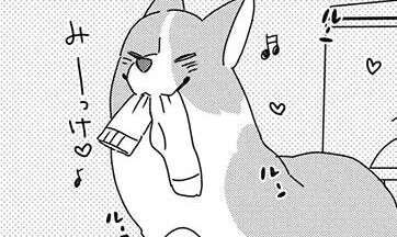 なぜそれを!? 「ワンコのお気に入り」に振り回される飼い主／あしょんでよッ9
