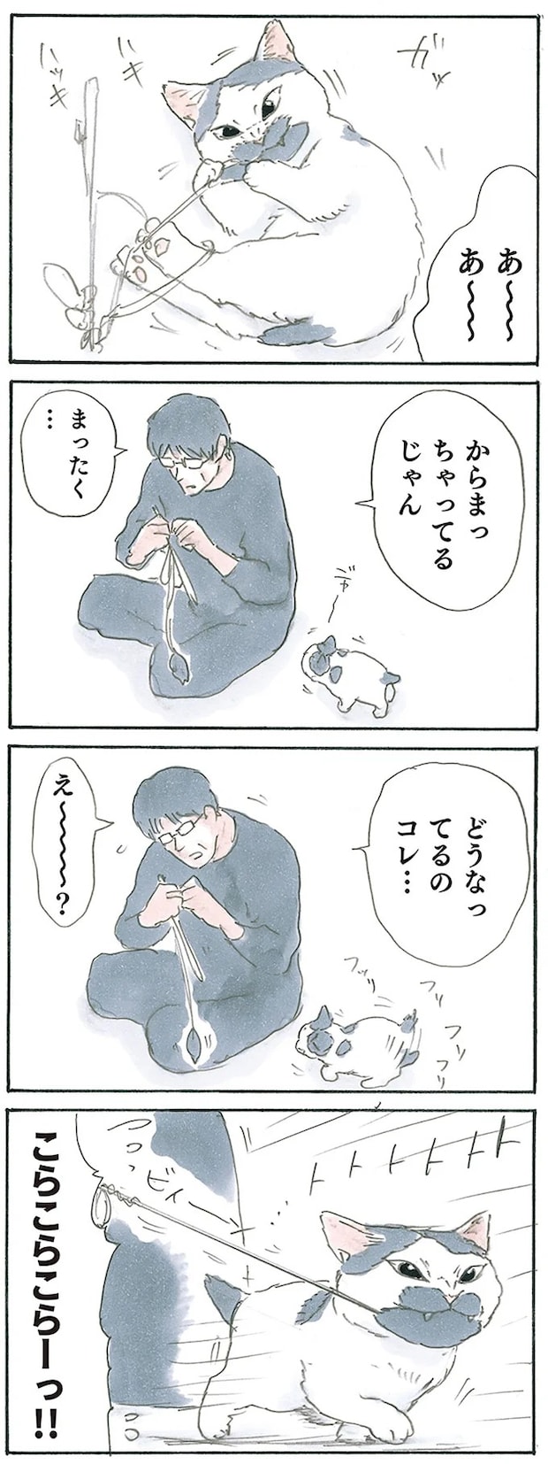 13312641.webp