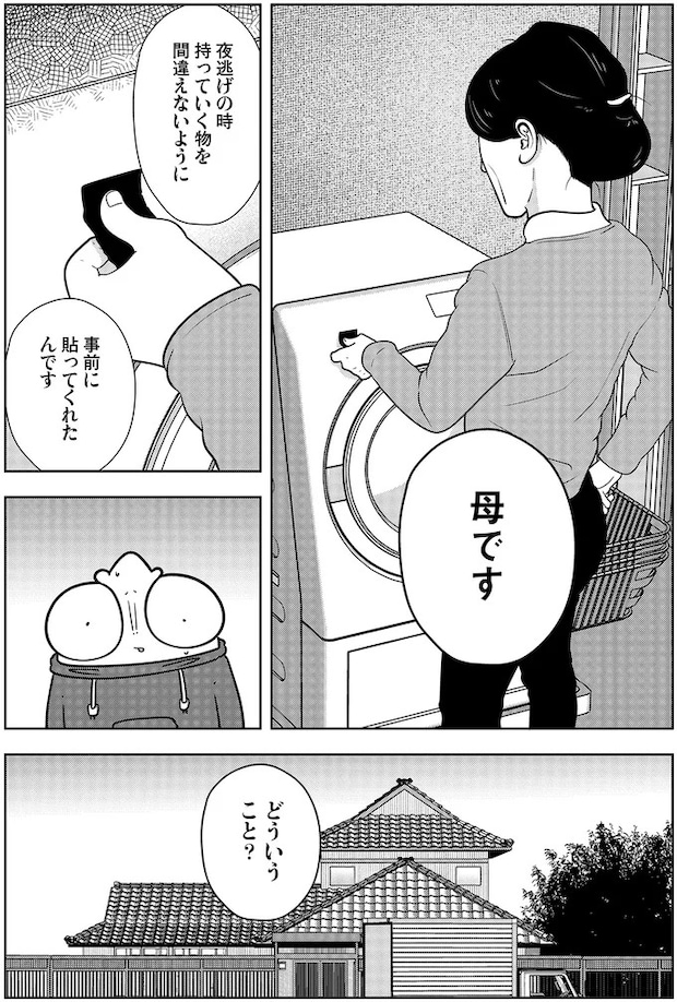 16229931.webp