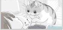朝の猫。飼い主をトントン...可愛くて寝たふりを続けていたら...え？／夜は猫といっしょ8