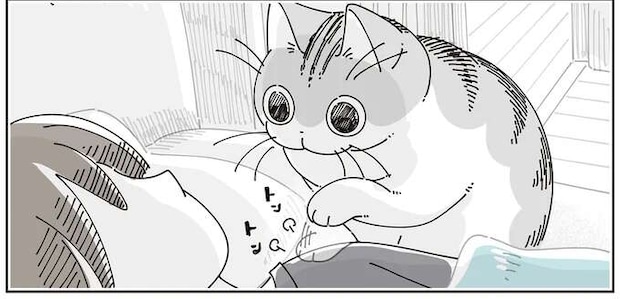 朝の猫。飼い主をトントン...可愛くて寝たふりを続けていたら...え?/夜は猫といっしょ8
