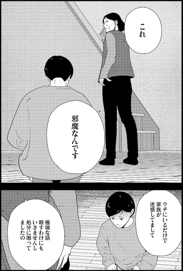 16229942.webp