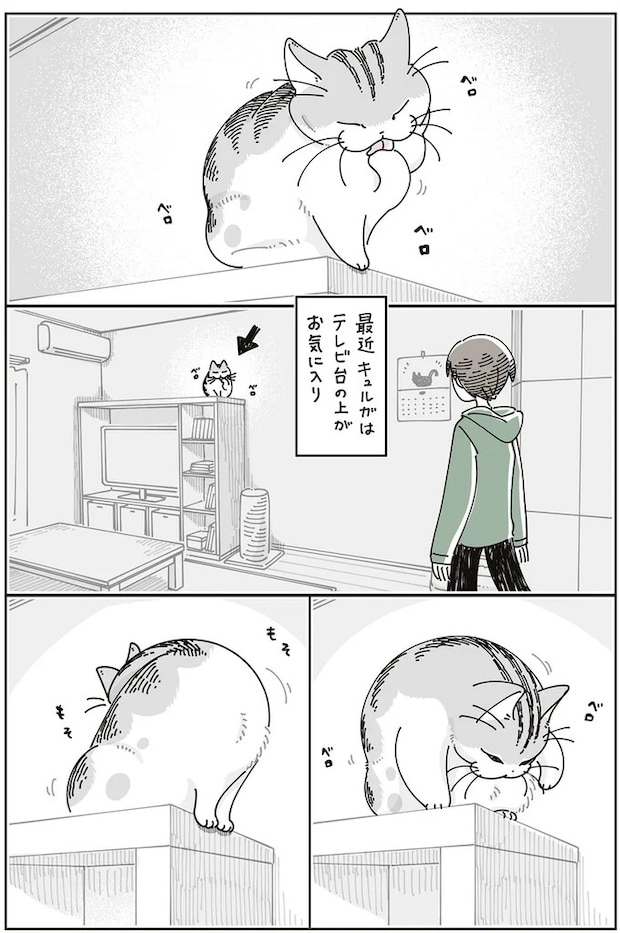 15588696.webp